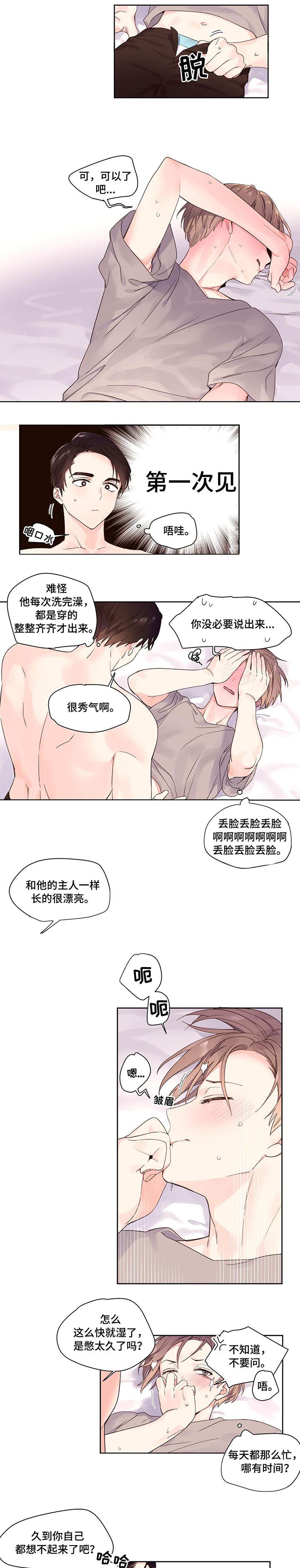 第8章：试试4
