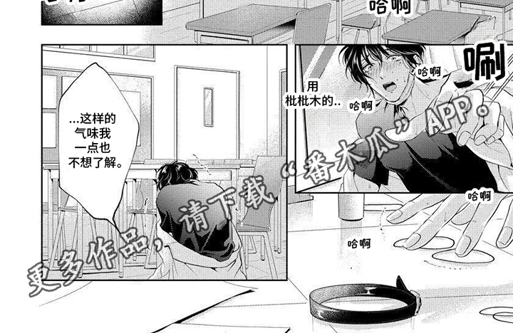 第5章：梦想5