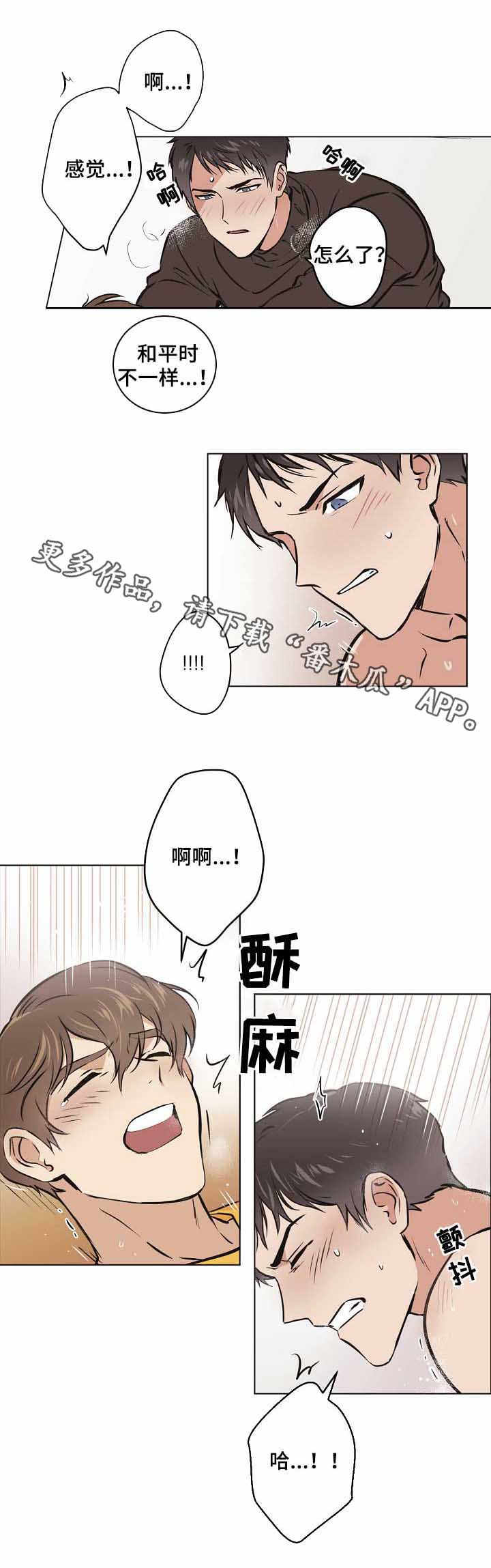 第20章：最后一步3