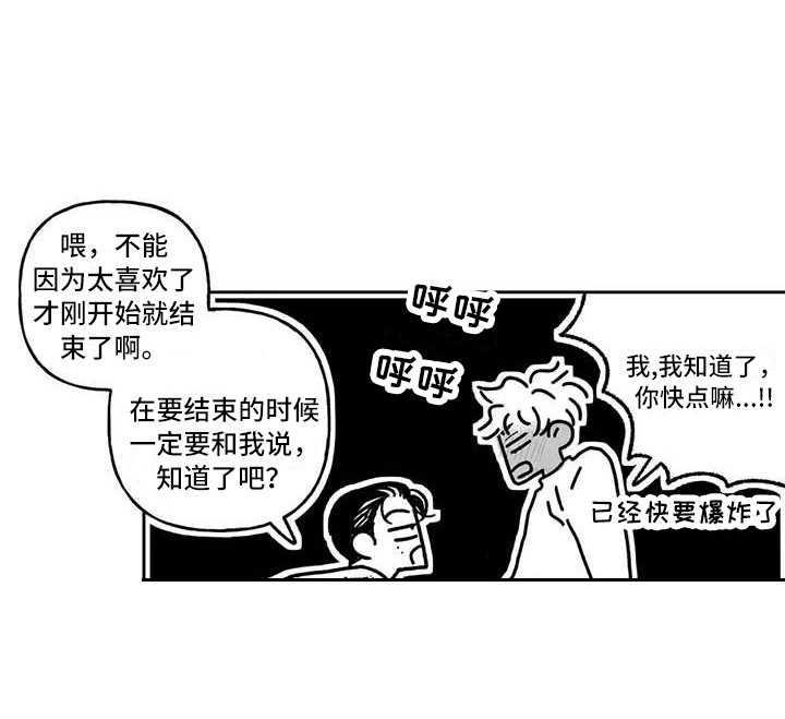 第6章：专业的13