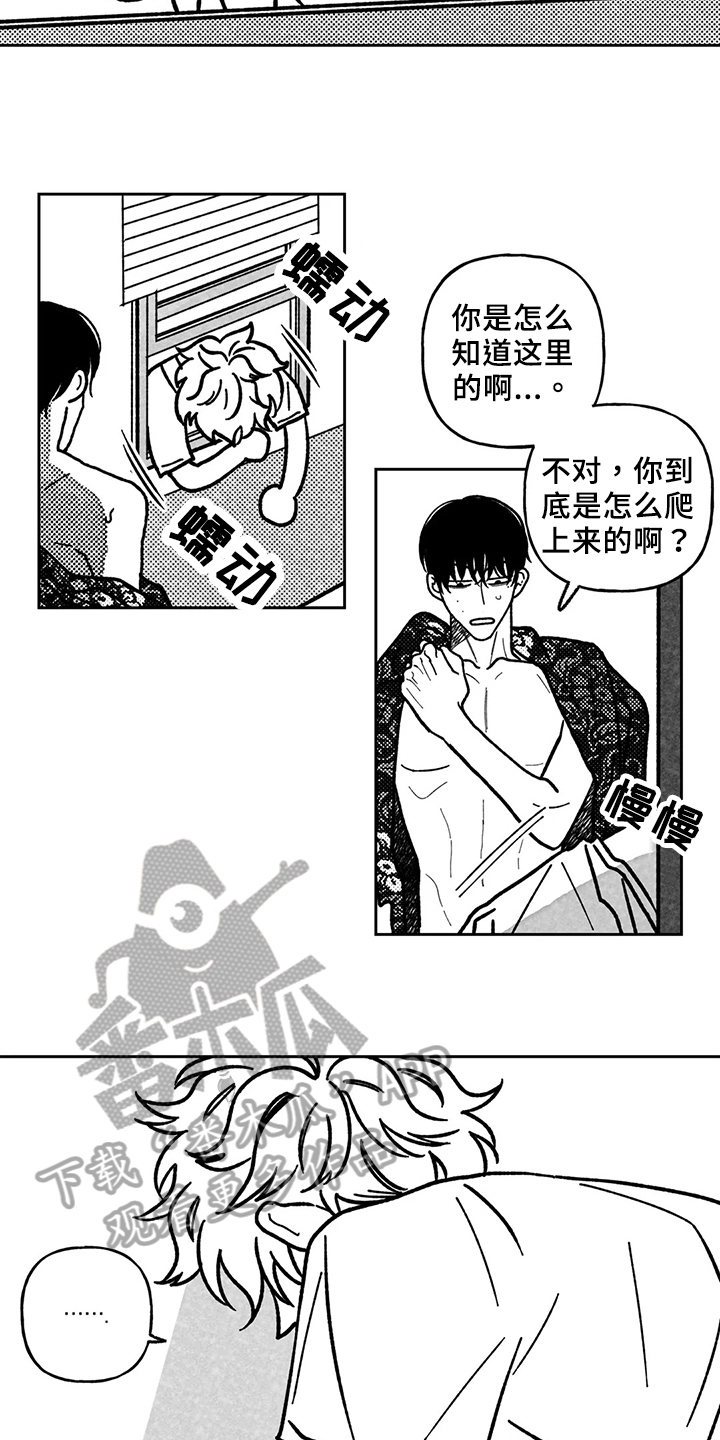 第33章：想法2