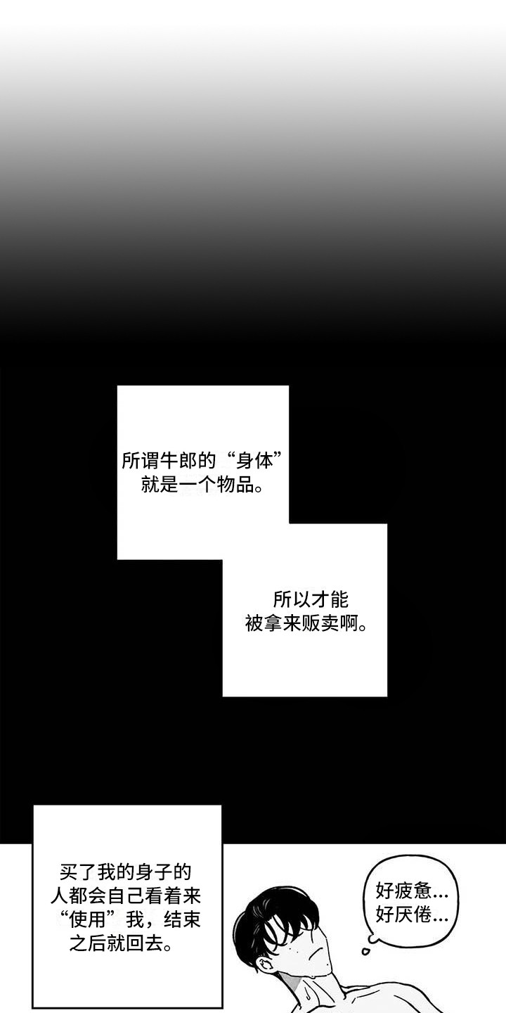 第23章：伤自尊11