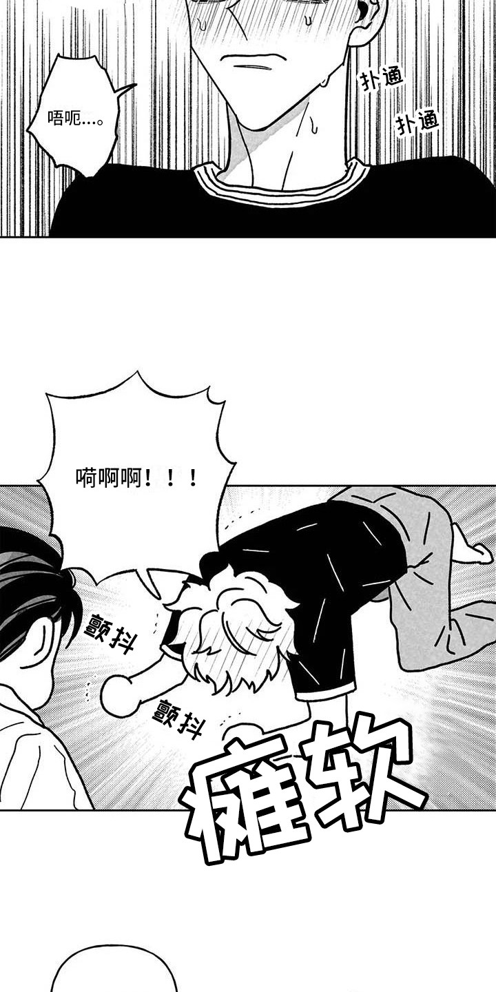 第21章：准备工作4