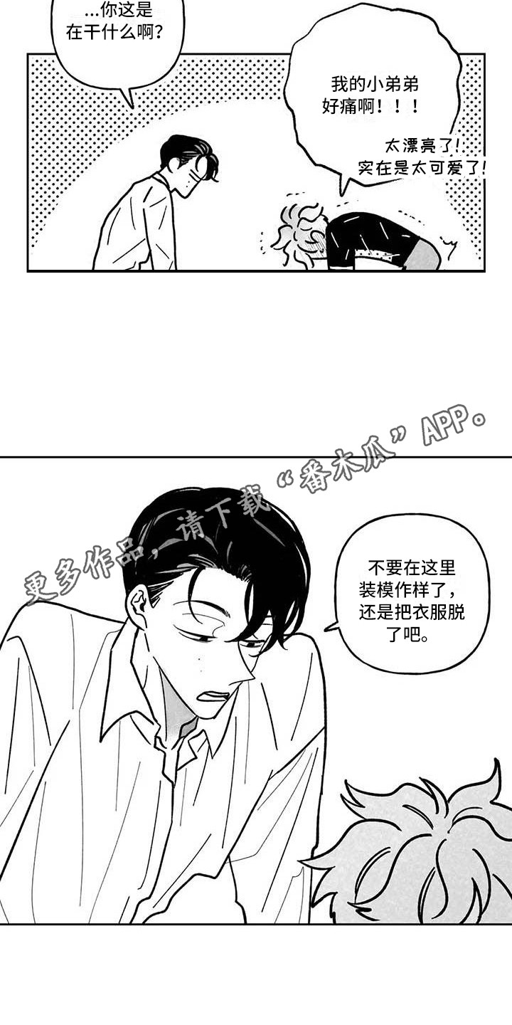 第21章：准备工作5