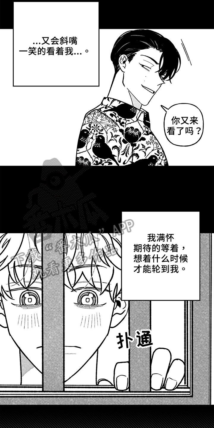 第33章：想法12