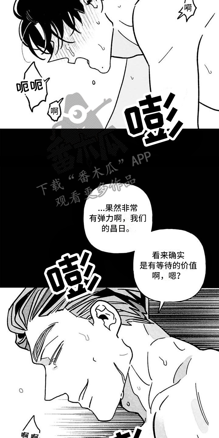 第22章：疼痛15