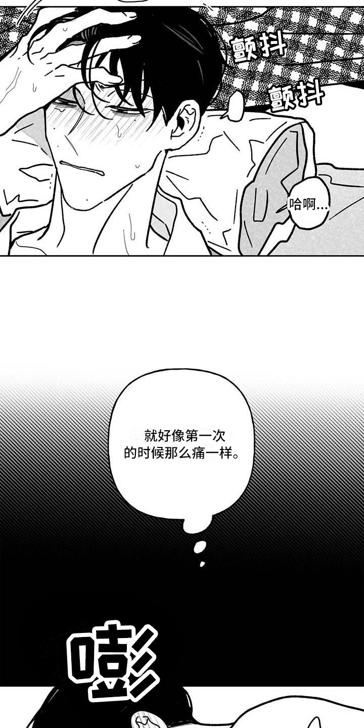 第22章：疼痛14