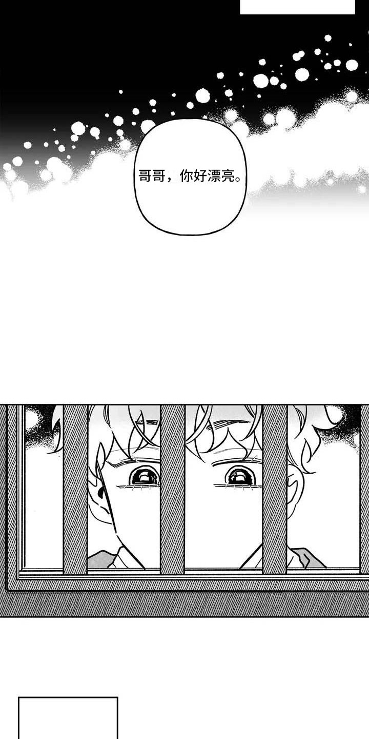 第2章：弃婴4