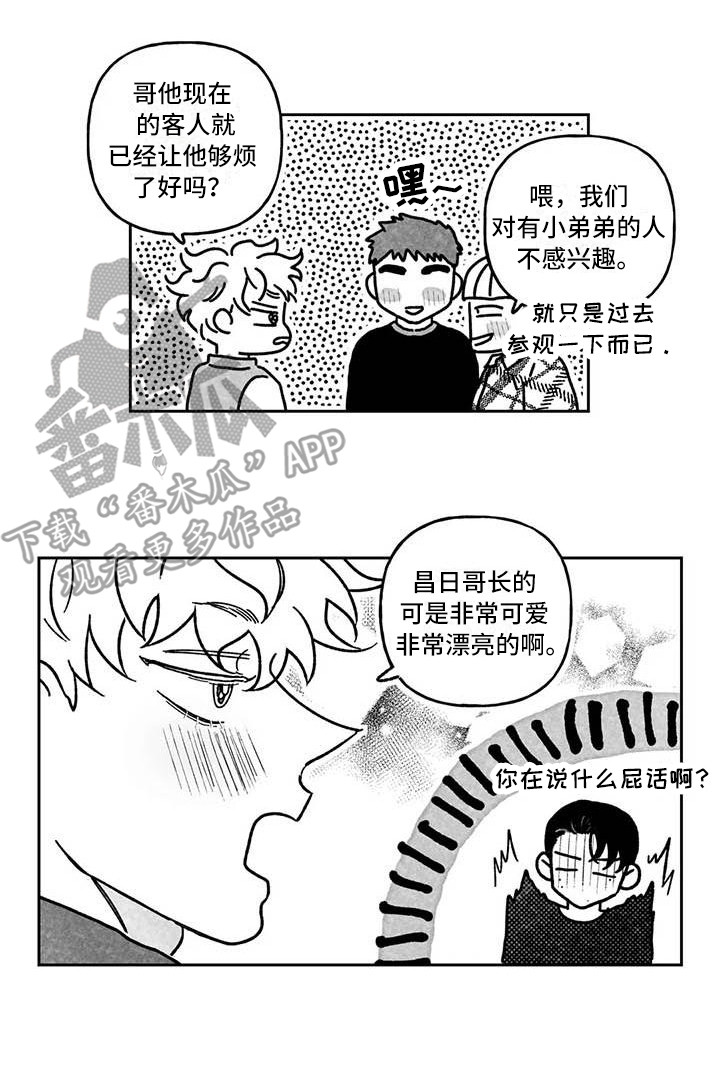 第8章：炫耀13