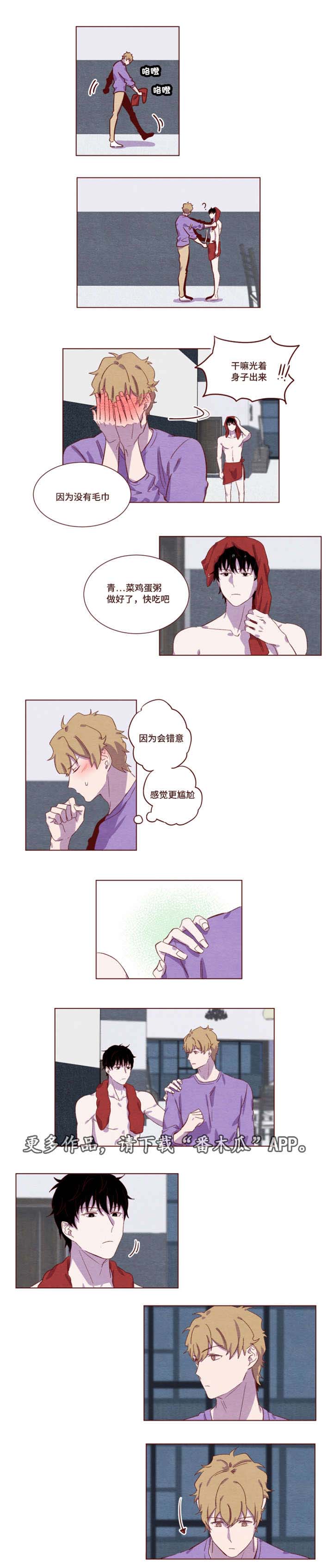 第11章：太喜欢了3