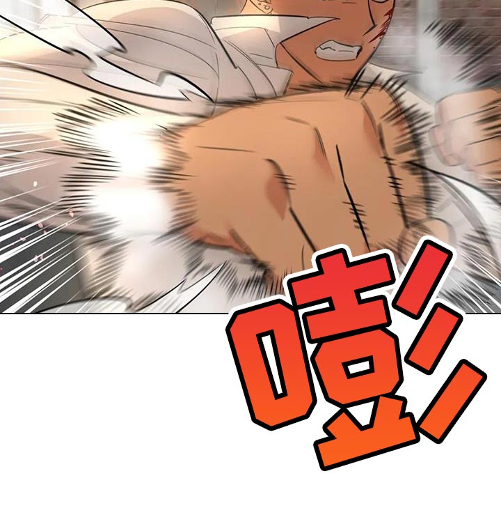 第39章：伪装11