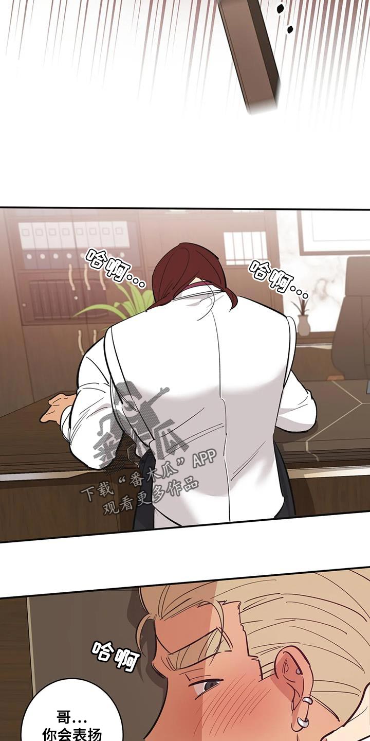 第40章：表扬18