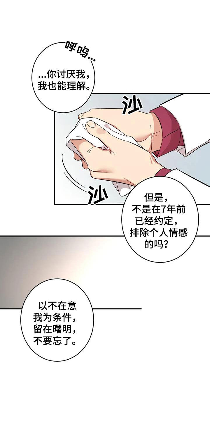第18章：七年前的约定21