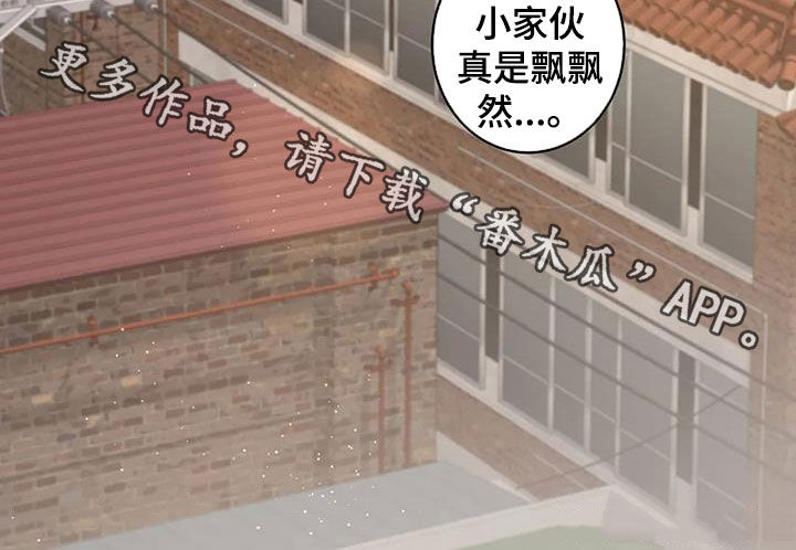 第14章：相似30
