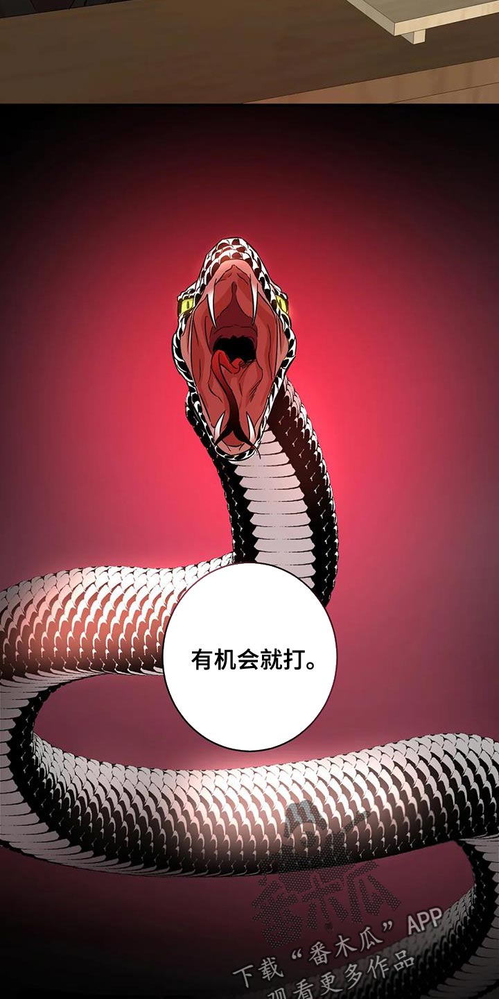 第26章：胆子越来越大7