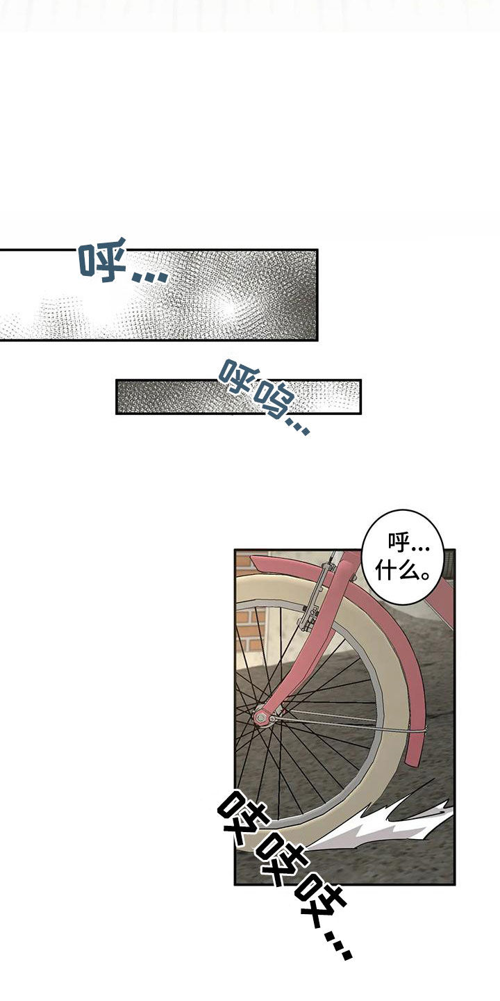第17章：老虎窝25
