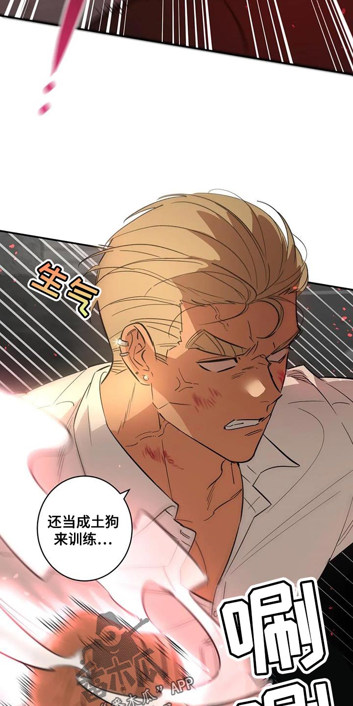 第39章：伪装9