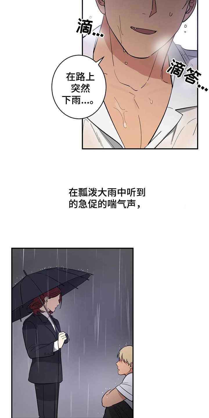 第14章：相似15