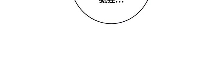 第28章：狐狸17