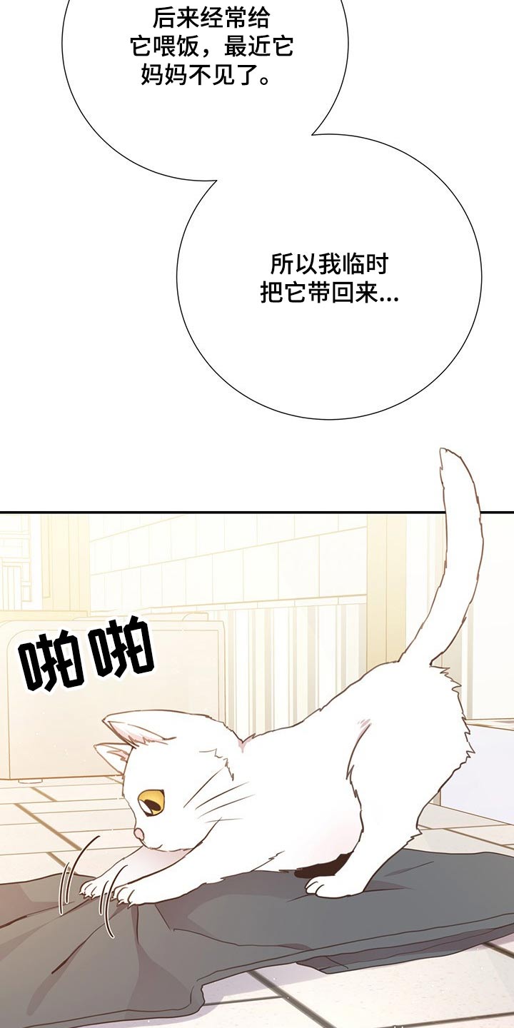 第51章：回国6