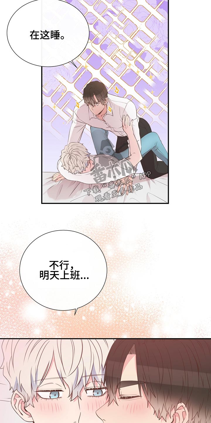 第60章：猫咪5