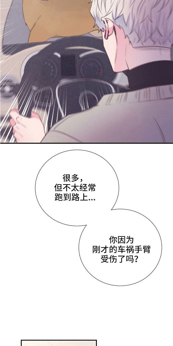 第97章：出事别恨我31