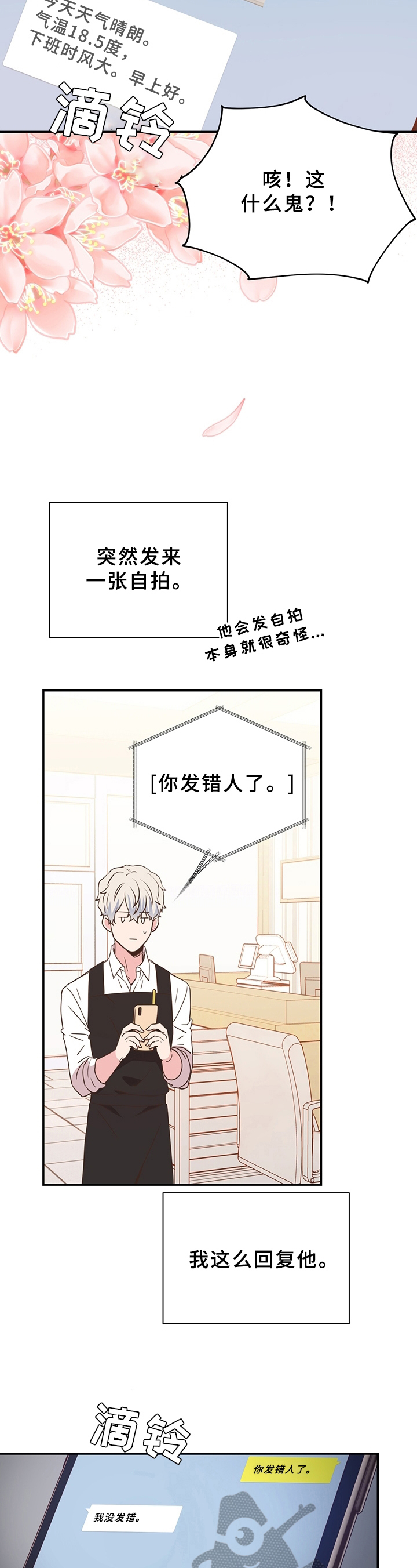 第16章：展示8