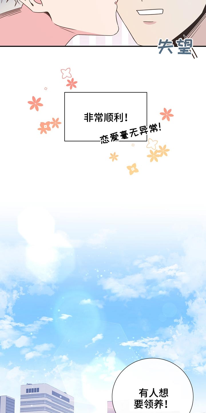 第60章：猫咪13