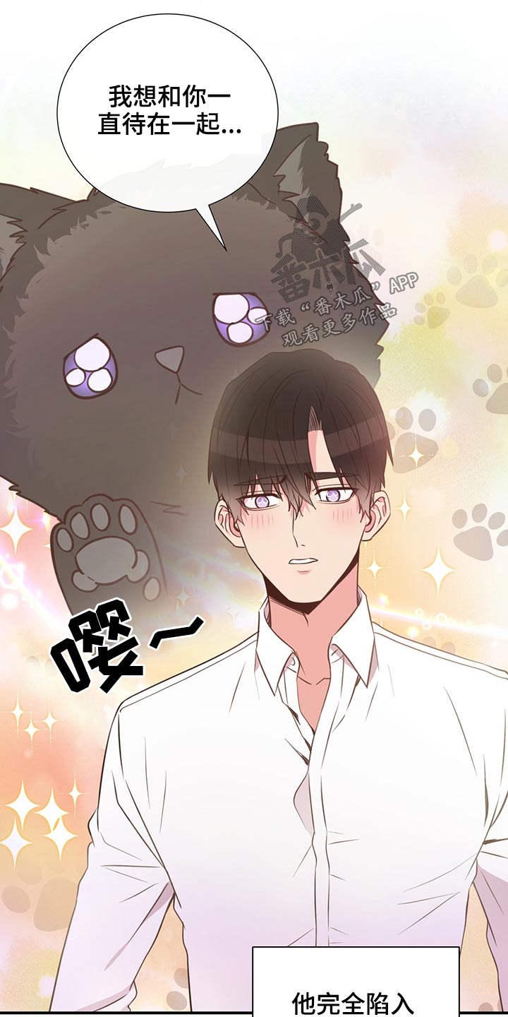 第60章：猫咪10