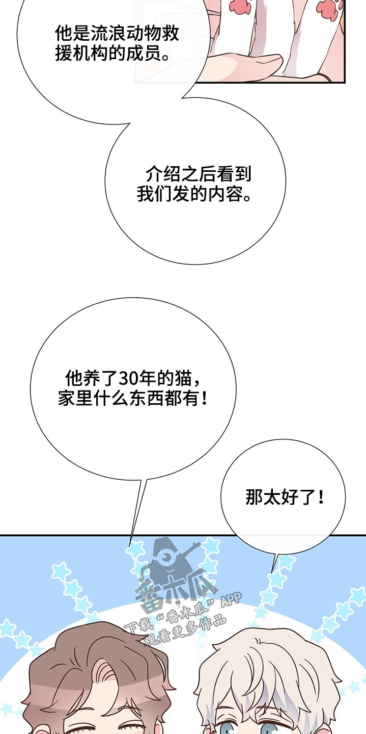 第60章：猫咪16