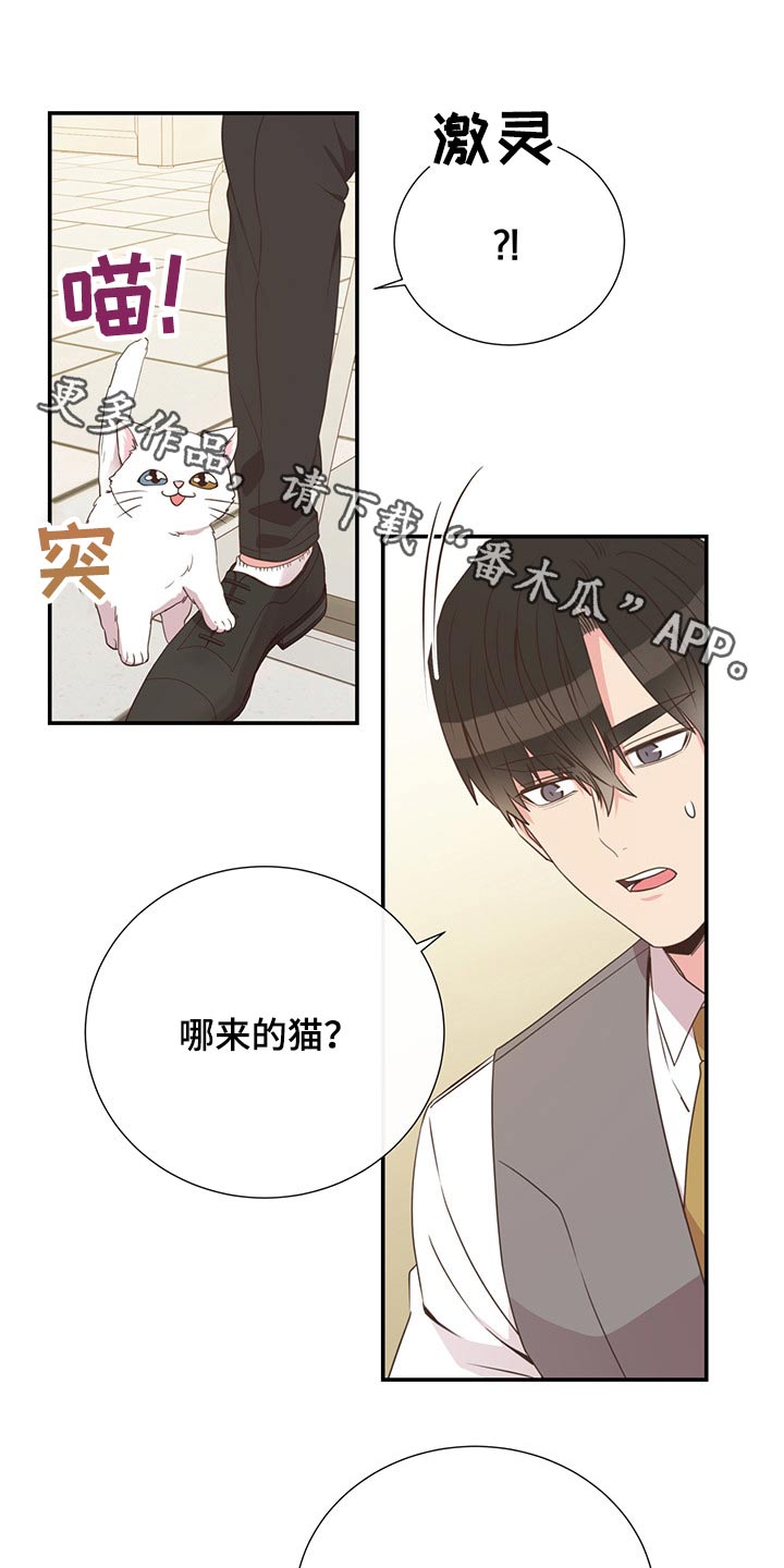 第55章：质问0