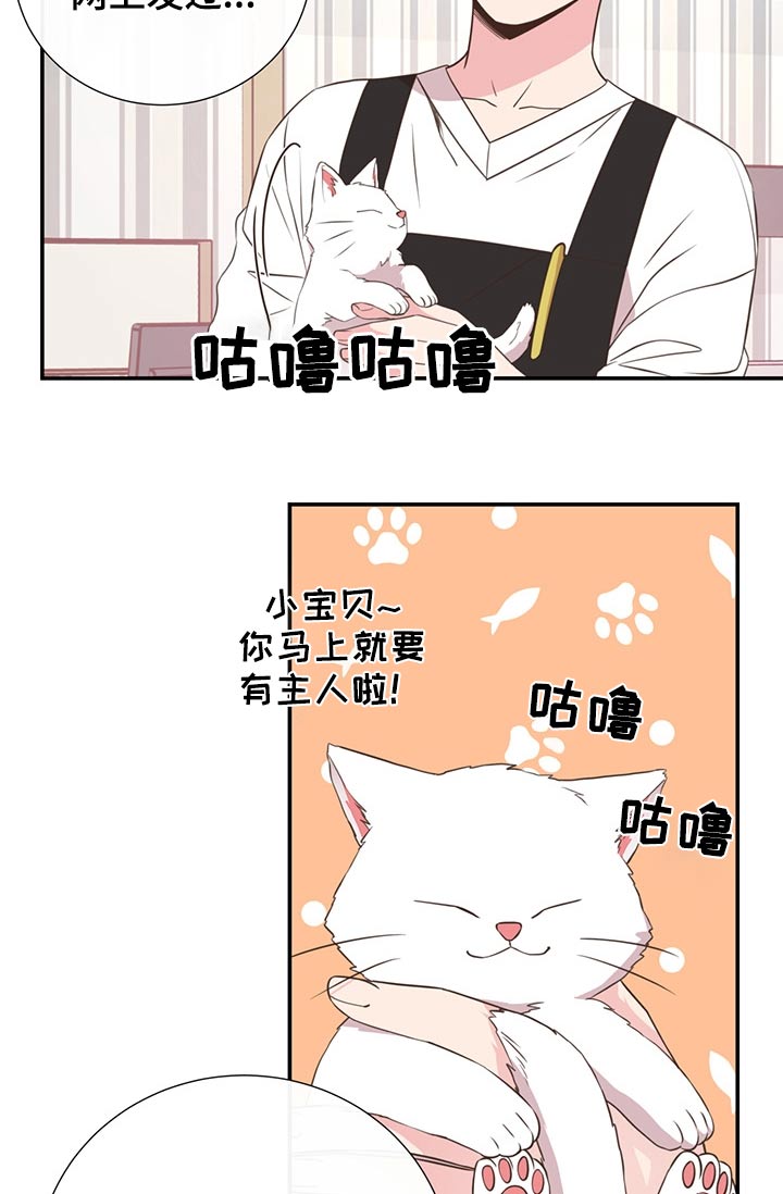 第60章：猫咪15