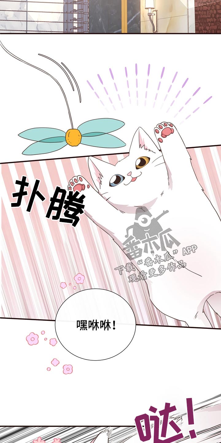 第64章：不想去4