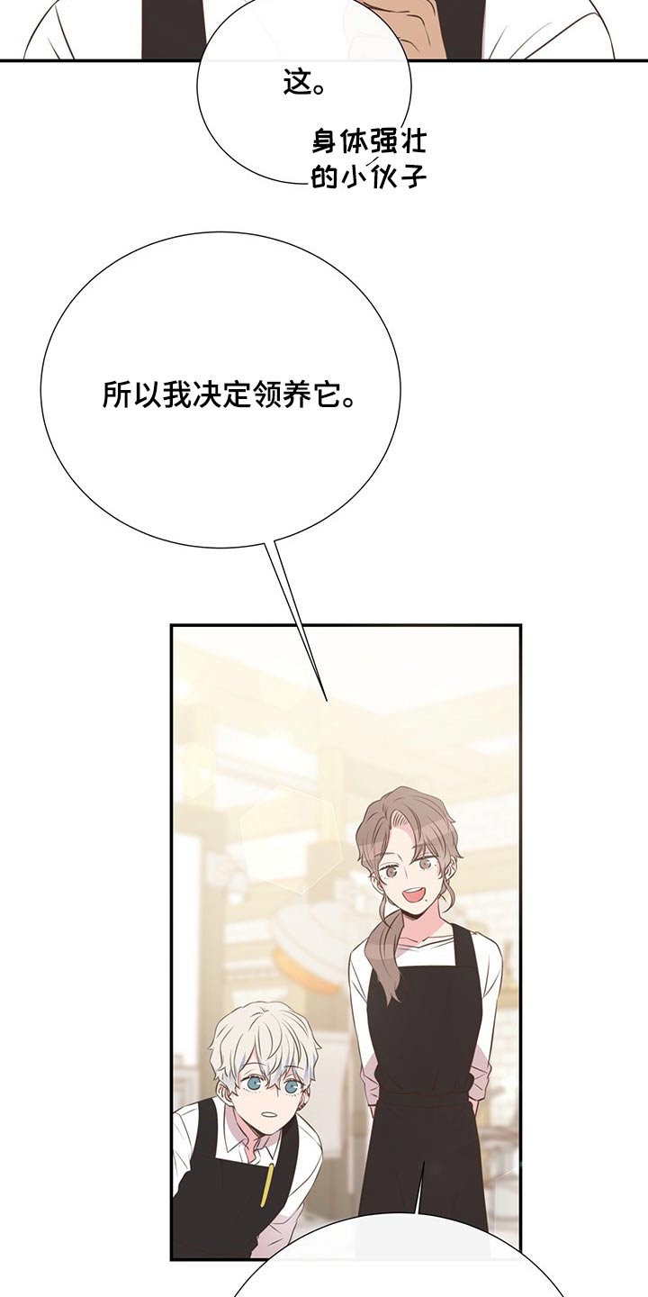 第51章：回国8