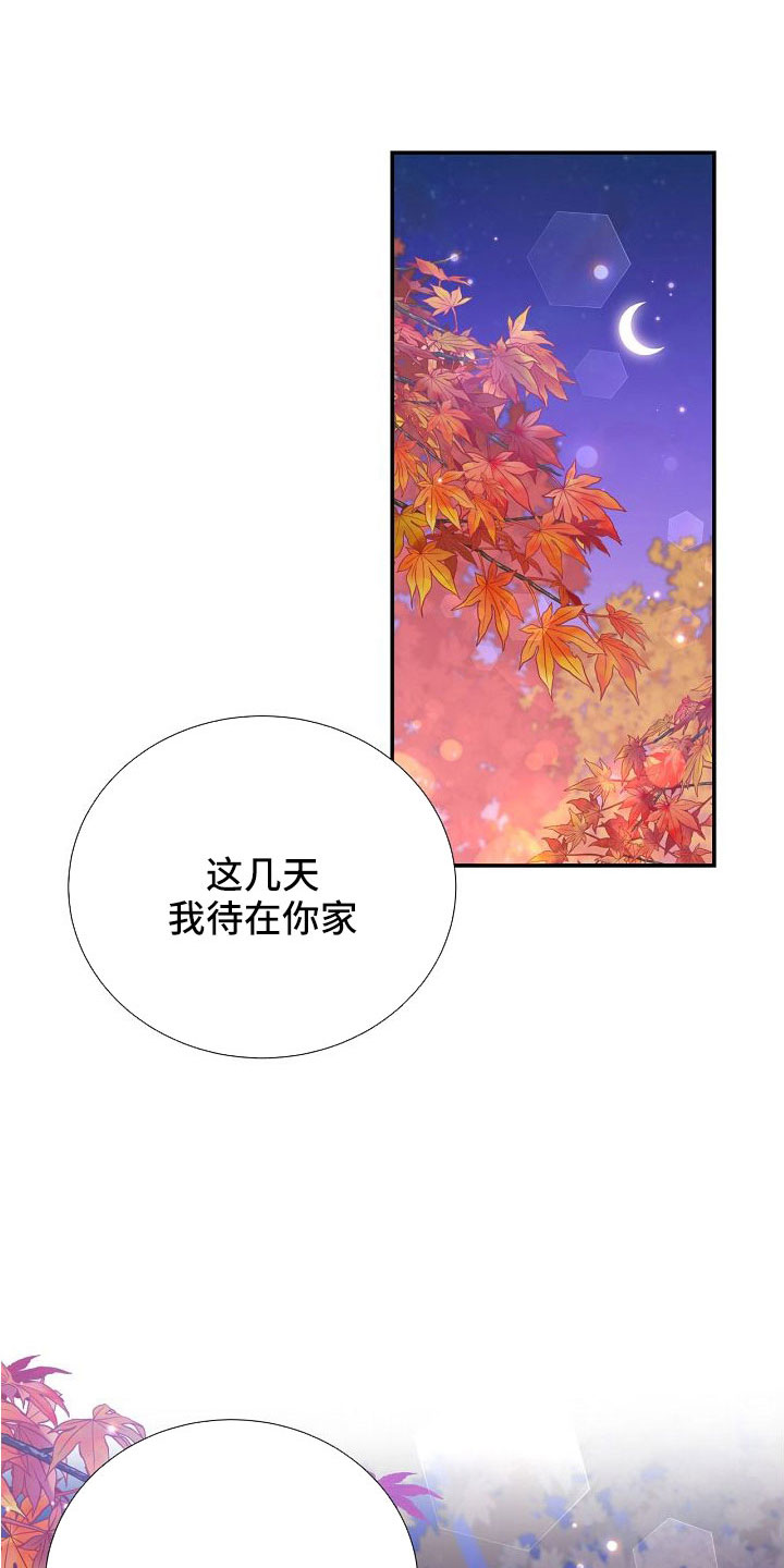 第101章：你疯了吗1