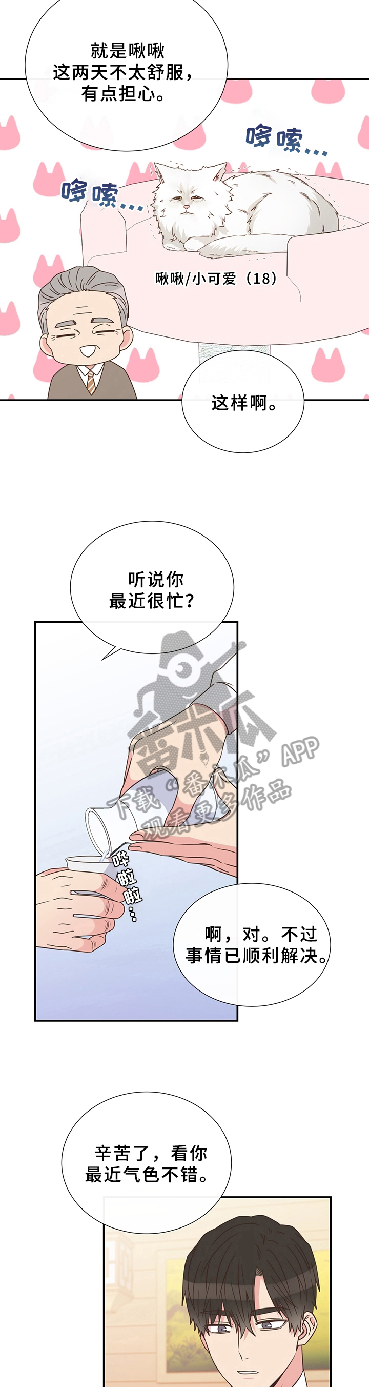 第17章：猜测10