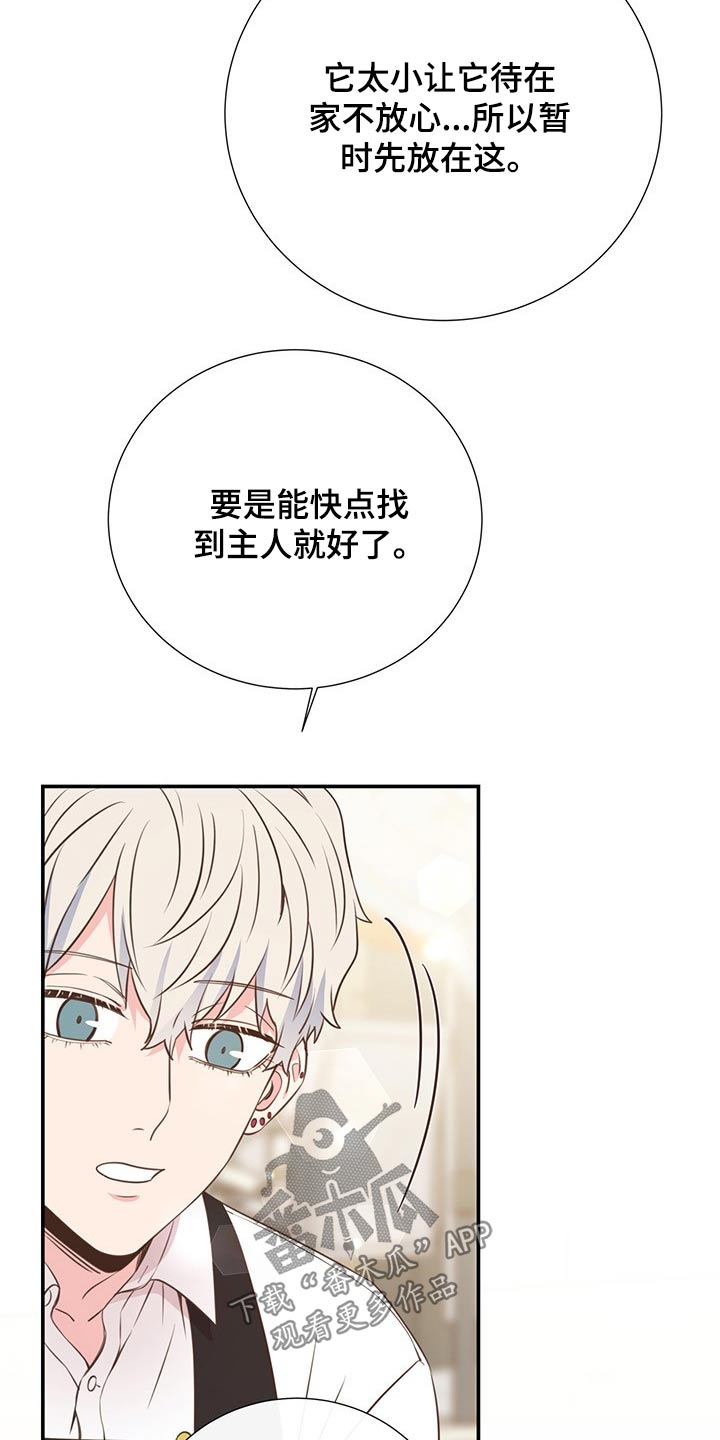 第51章：回国9