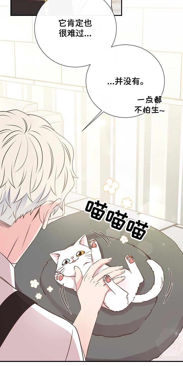第51章：回国10
