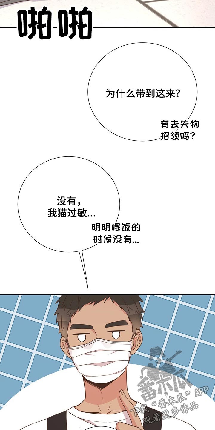 第51章：回国7