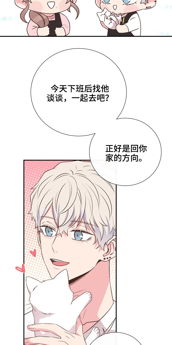 第60章：猫咪17