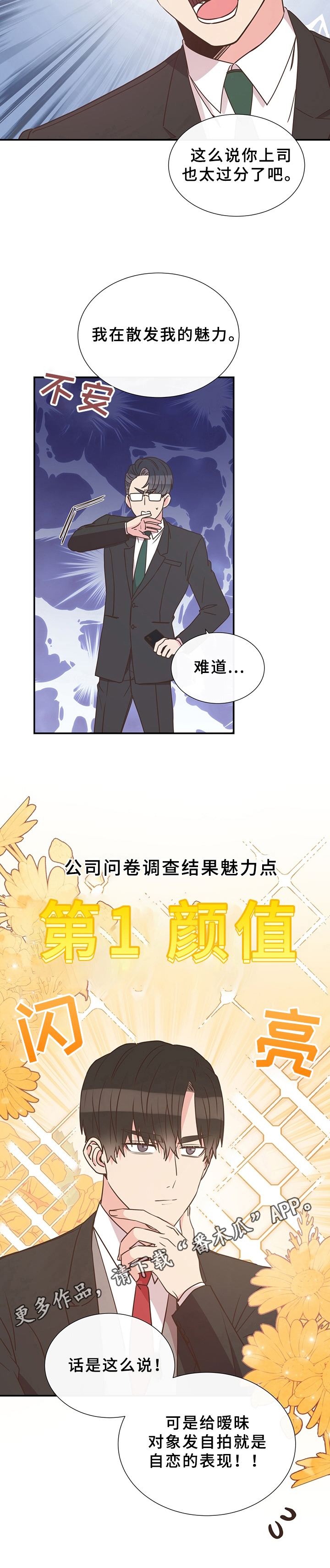 第16章：展示12