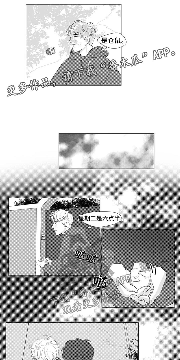 第17章：仓鼠0