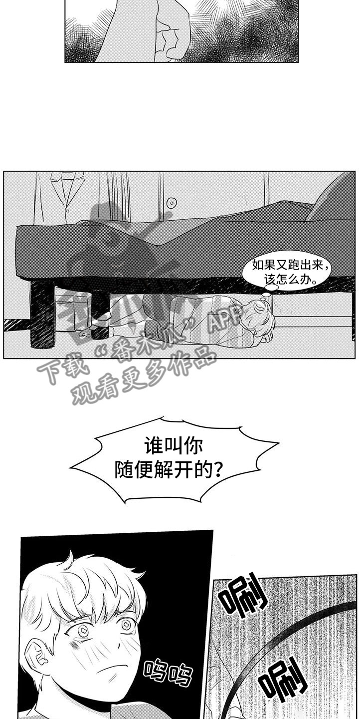第36章：出手6