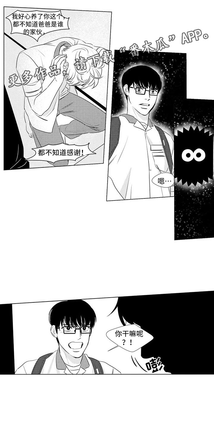 第12章：闭嘴0