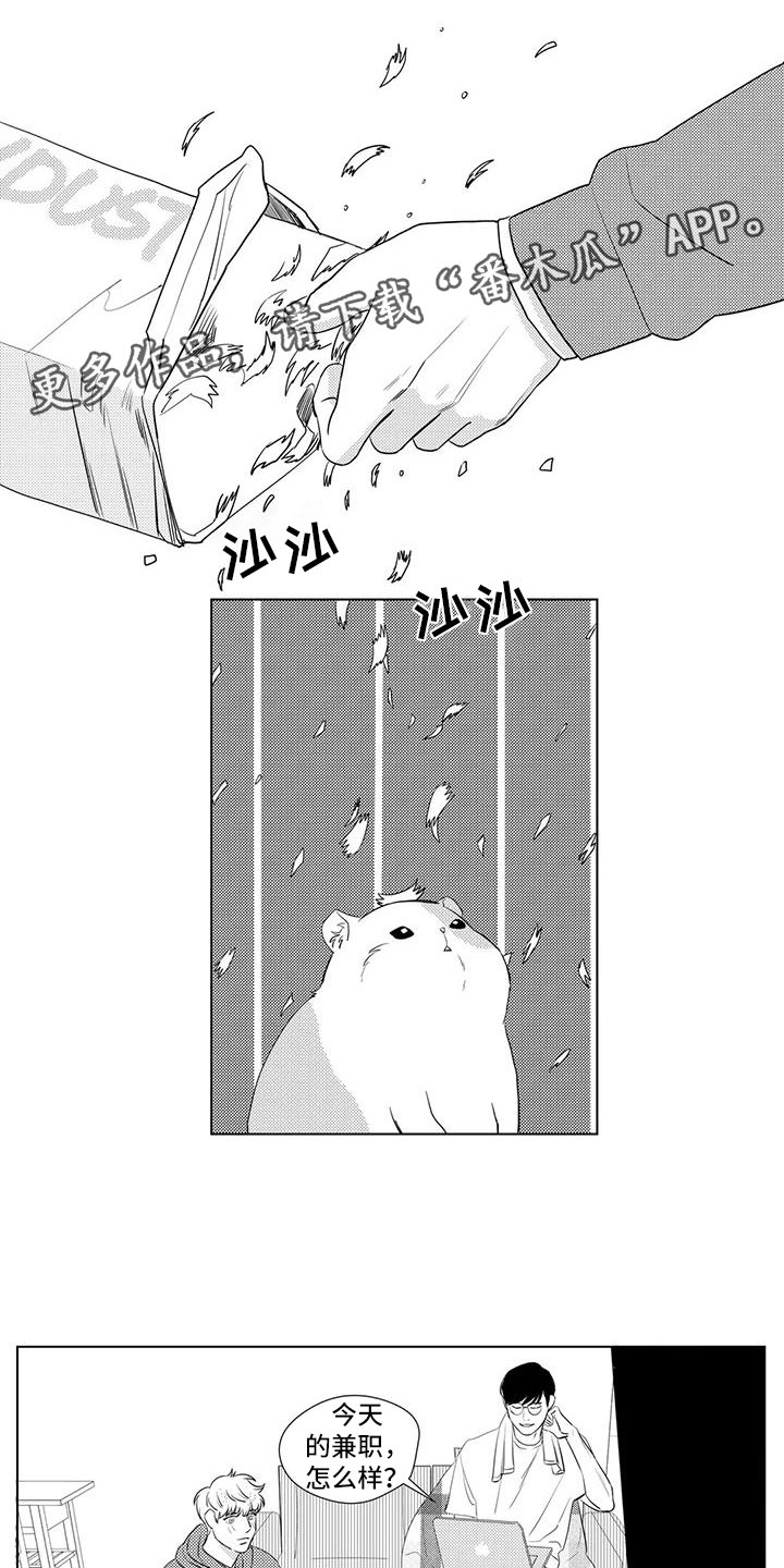 第30章：兼职情况0