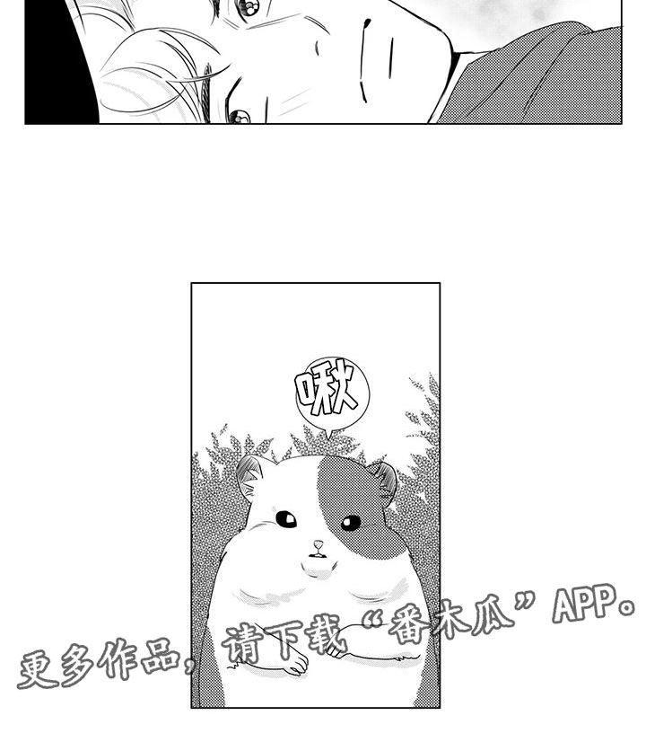 第16章：邀请8