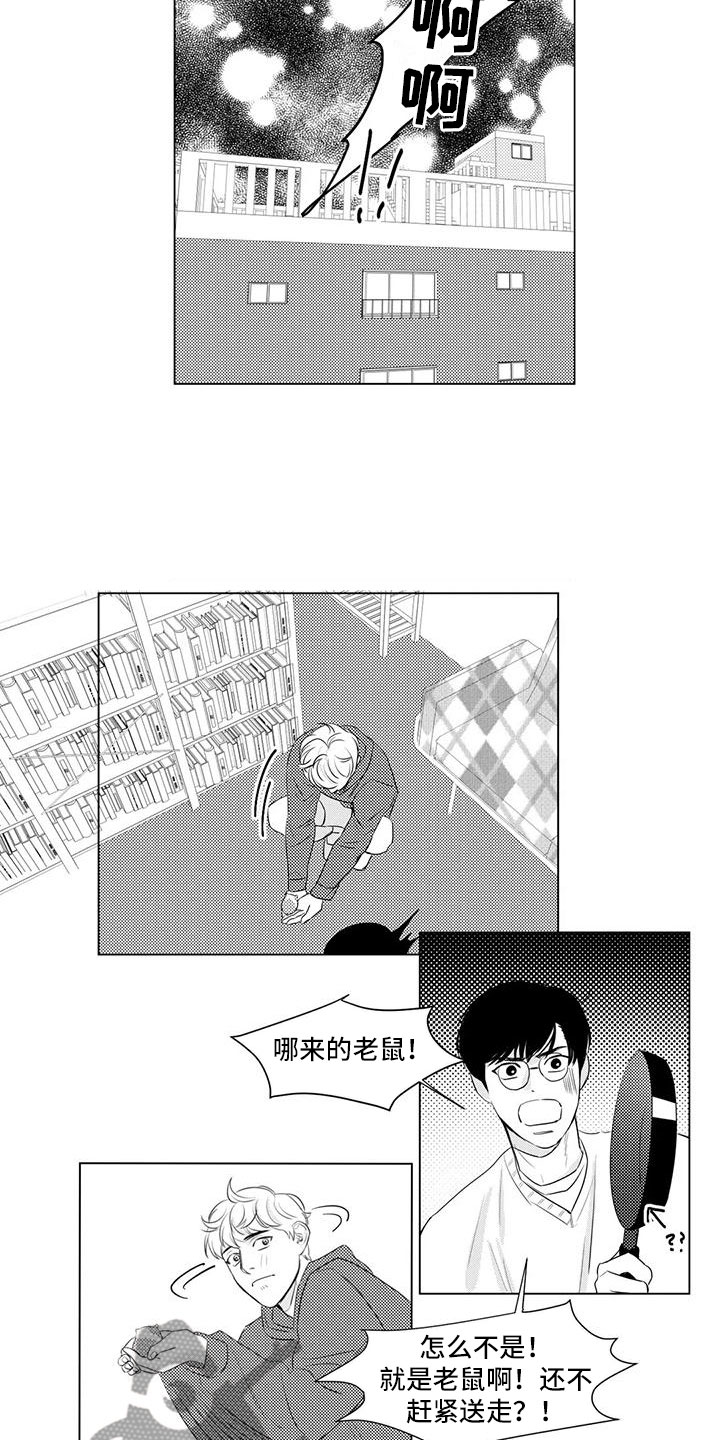 第17章：仓鼠4