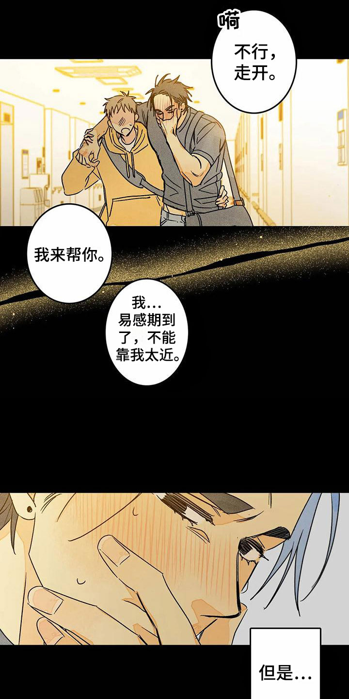 第10章：喜欢这个人8