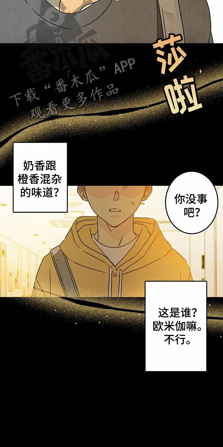 第10章：喜欢这个人7