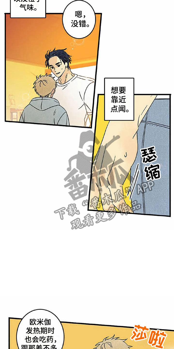 第6章：橙子香味3